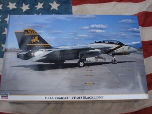 Has.09814  F-14A TOMCAT 